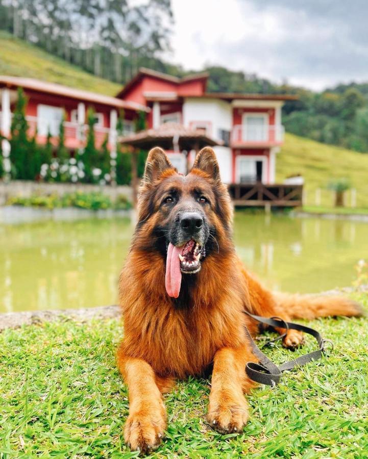 Ampla Casa De Campo - Afaven Aguas Mornas Dış mekan fotoğraf